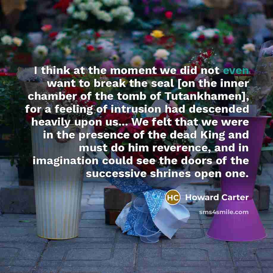 “I think at the moment we did not even want…” quote by Howard Carter