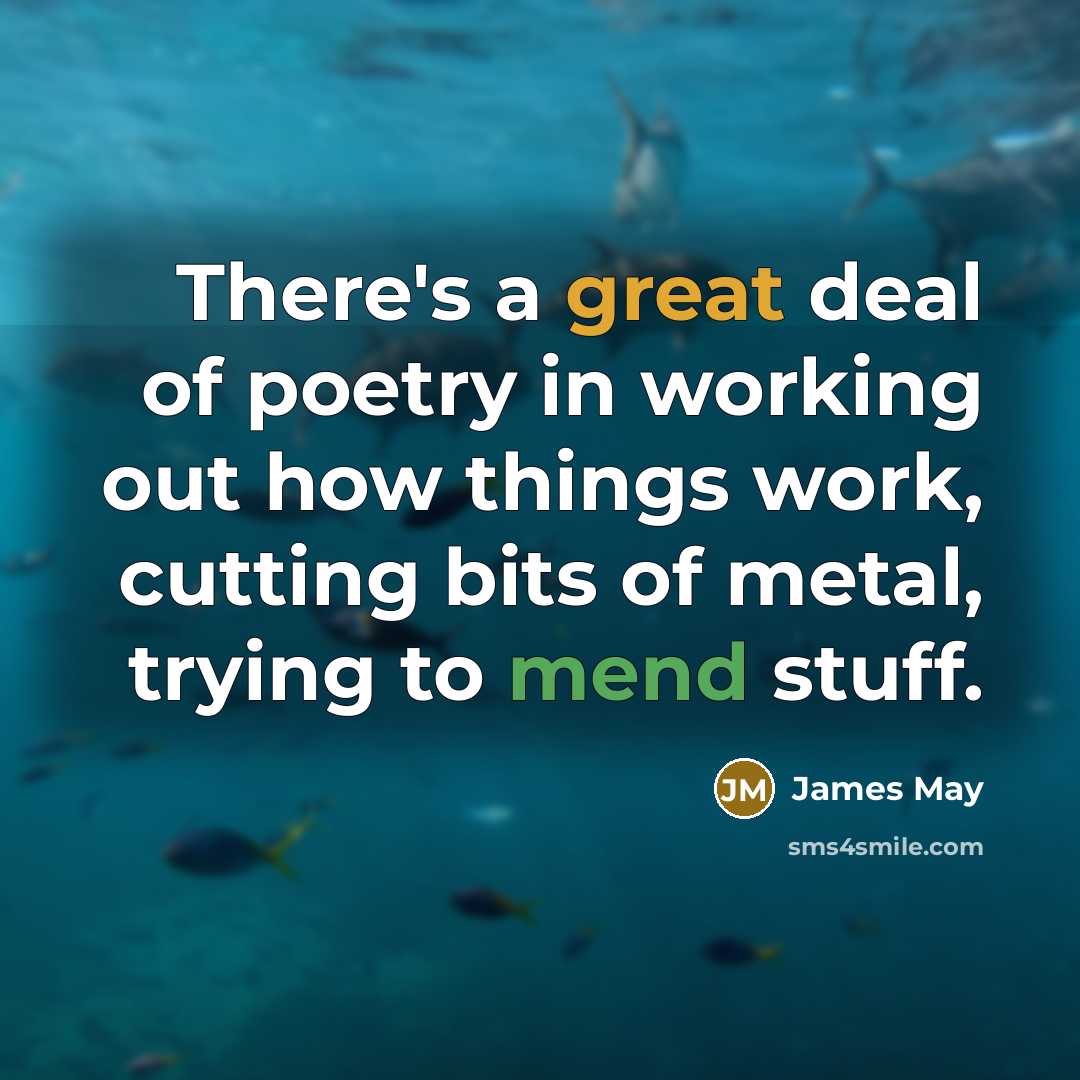 “There's a great deal of poetry in working out how…” quote by James May