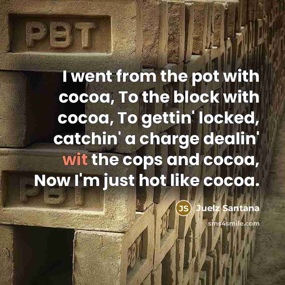 “I went from the pot with cocoa, To the block…” quote by Juelz Santana