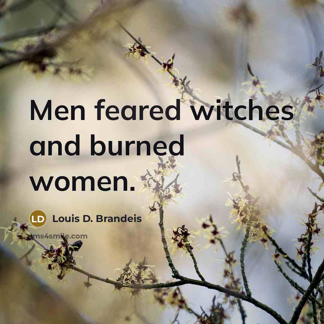 “Men feared witches and burned women.…” quote by Louis D. Brandeis