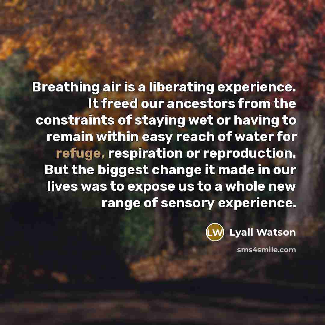 “Breathing air is a liberating experience. It freed our ancestors…” quote by Lyall Watson