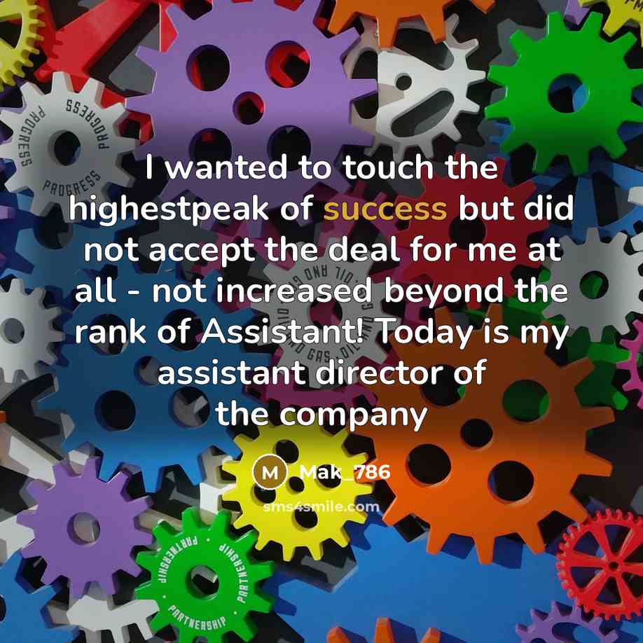 “I wanted to touch the highestpeak of success but did…” quote by Mak_786