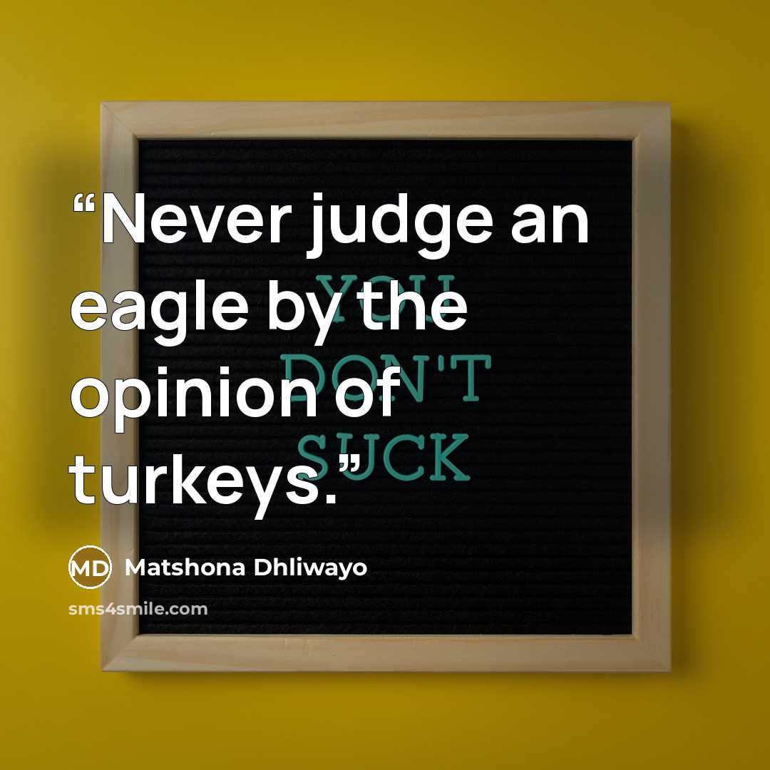 “Never judge an eagle by the opinion of turkeys.” quote by Matshona Dhliwayo