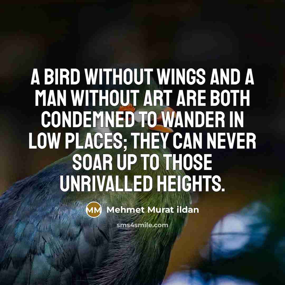 “A bird without wings and a man without art are…” quote by Mehmet Murat Ildan