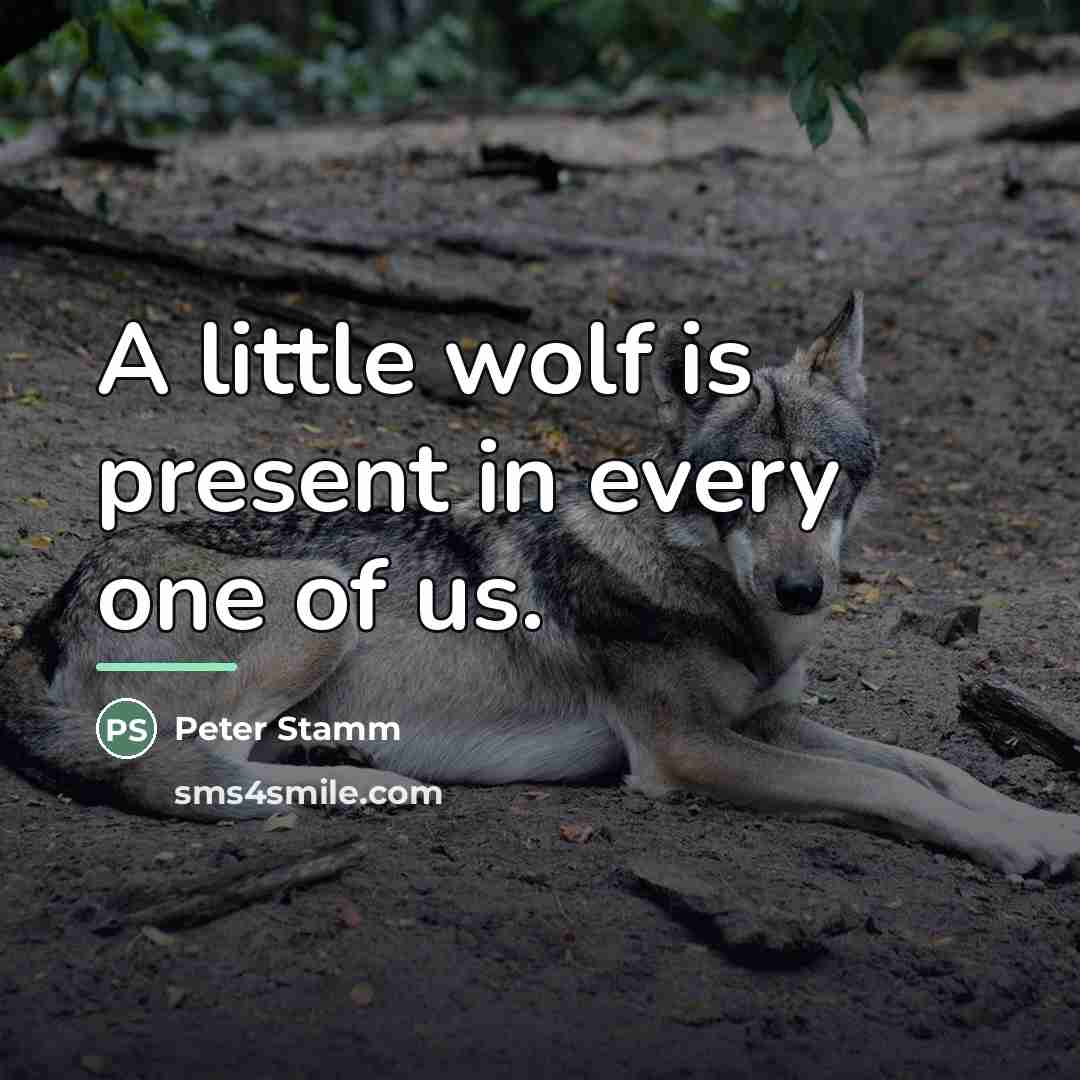 “A little wolf is present in every one of us.…” quote by Peter Stamm