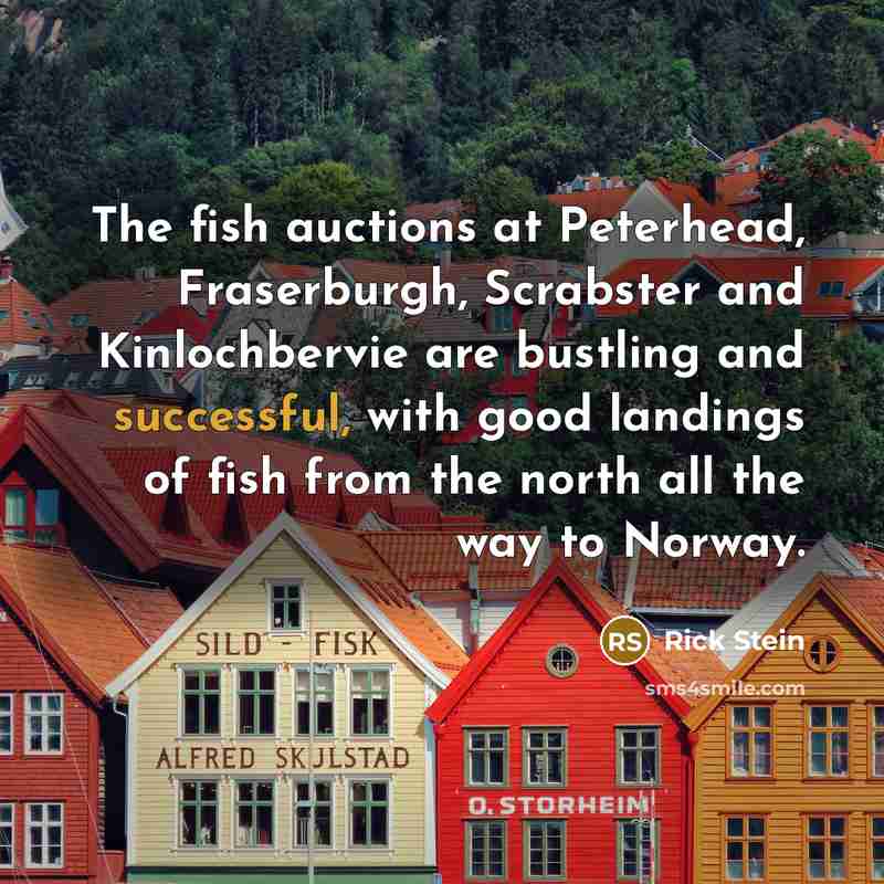 “The fish auctions at Peterhead, Fraserburgh, Scrabster and Kinlochbervie are…” quote by Rick Stein