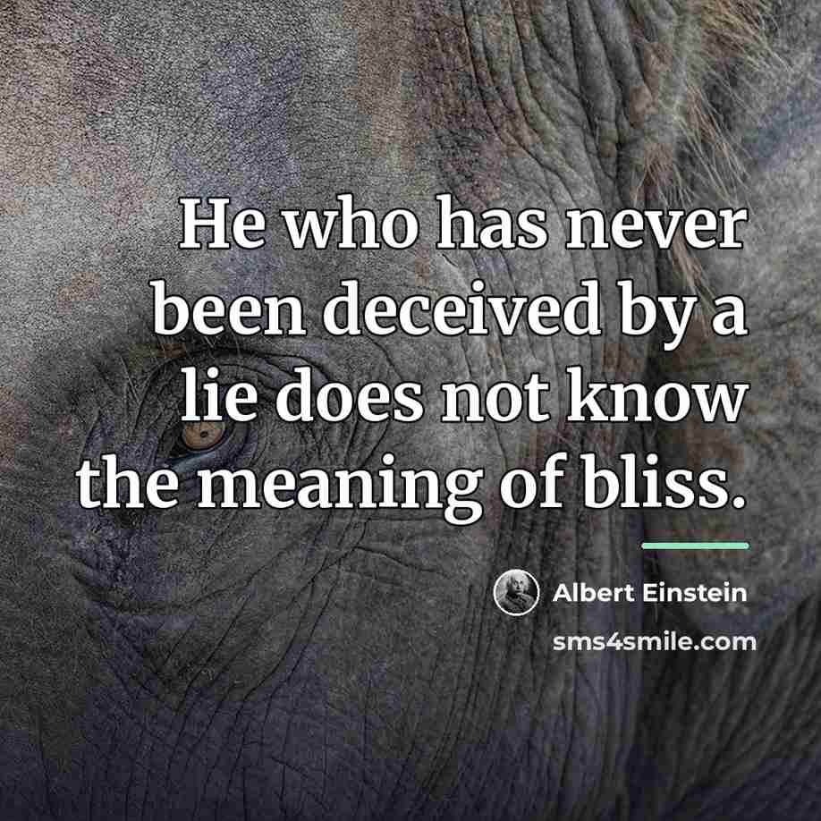 “He who has never been deceived by a lie does…” quote by Albert Einstein
