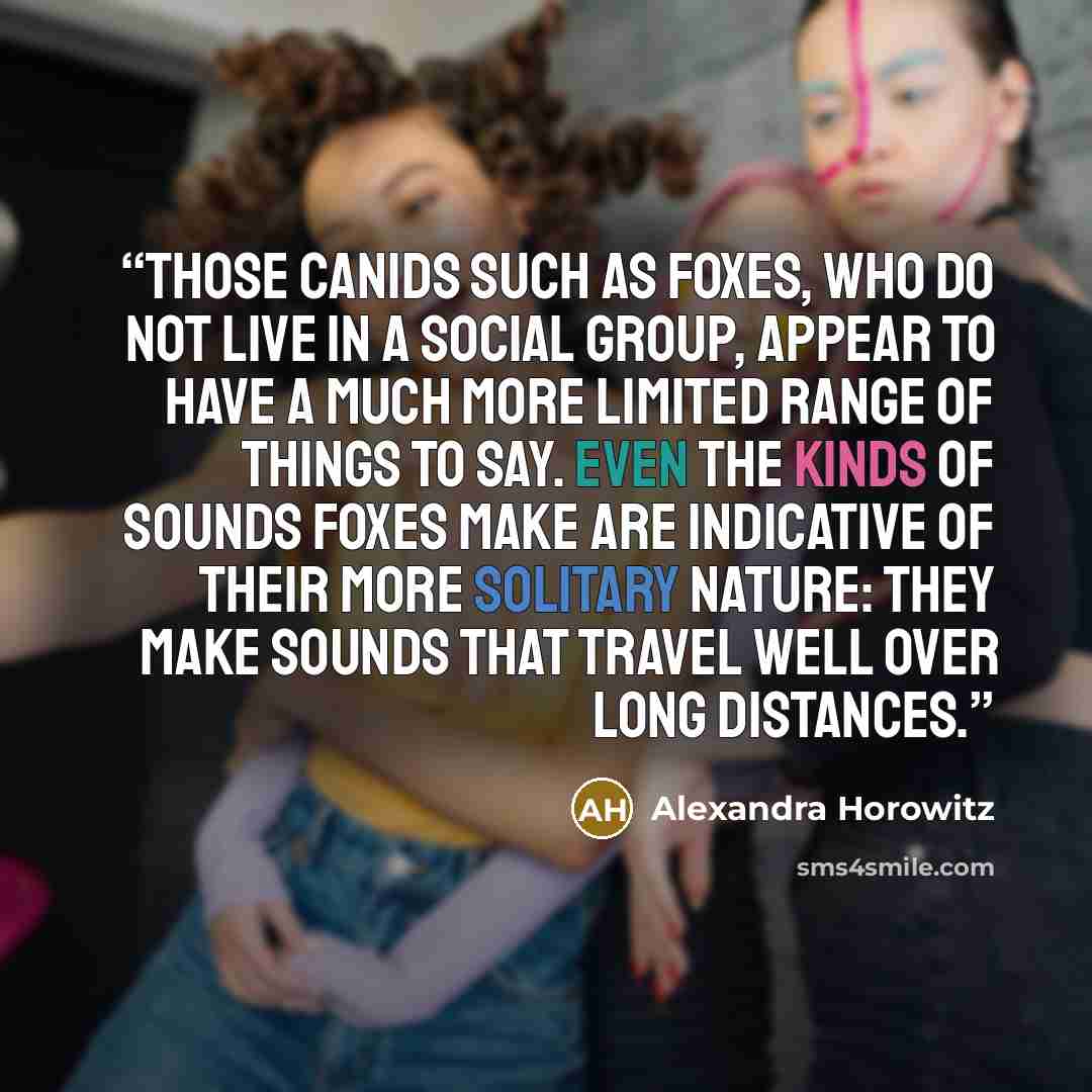 “Those canids such as foxes, who do not live in a social group, appear to have a much more limited range of things to say. Even the kinds of sounds foxes make are indicative of their more solitary nature: they make sounds that travel well over long distances.” quote by Alexandra Horowitz