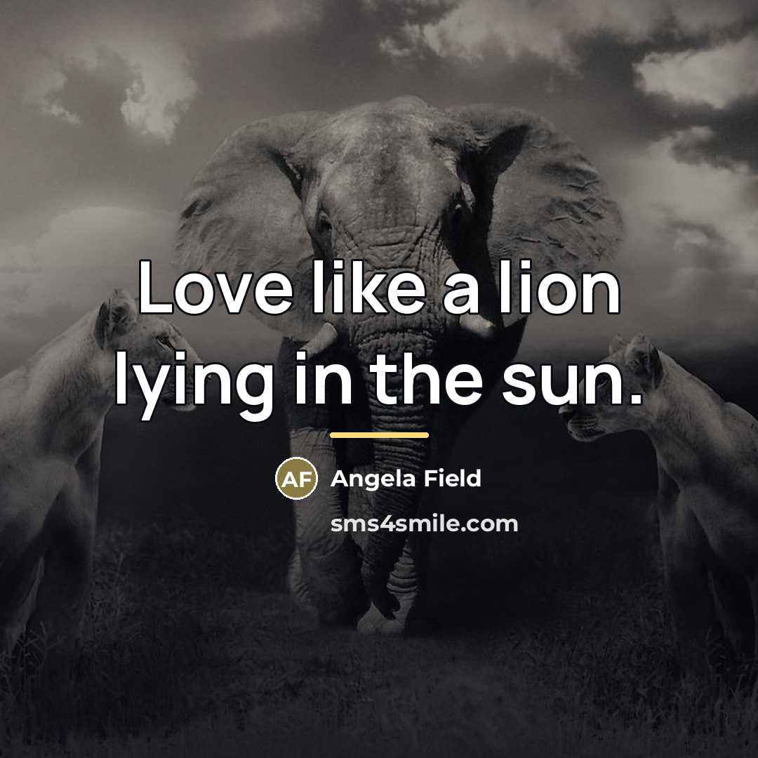 “Love like a lion lying in the sun.…” quote by Angela Field