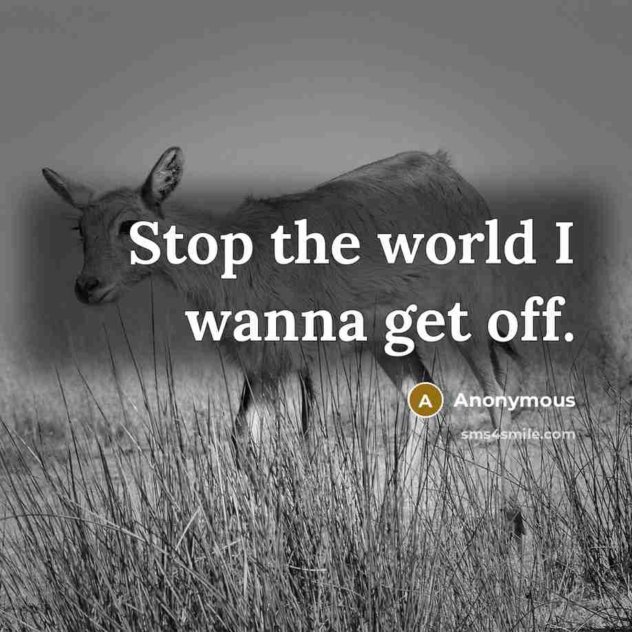 “Stop the world I wanna get off.…” quote by Anonymous
