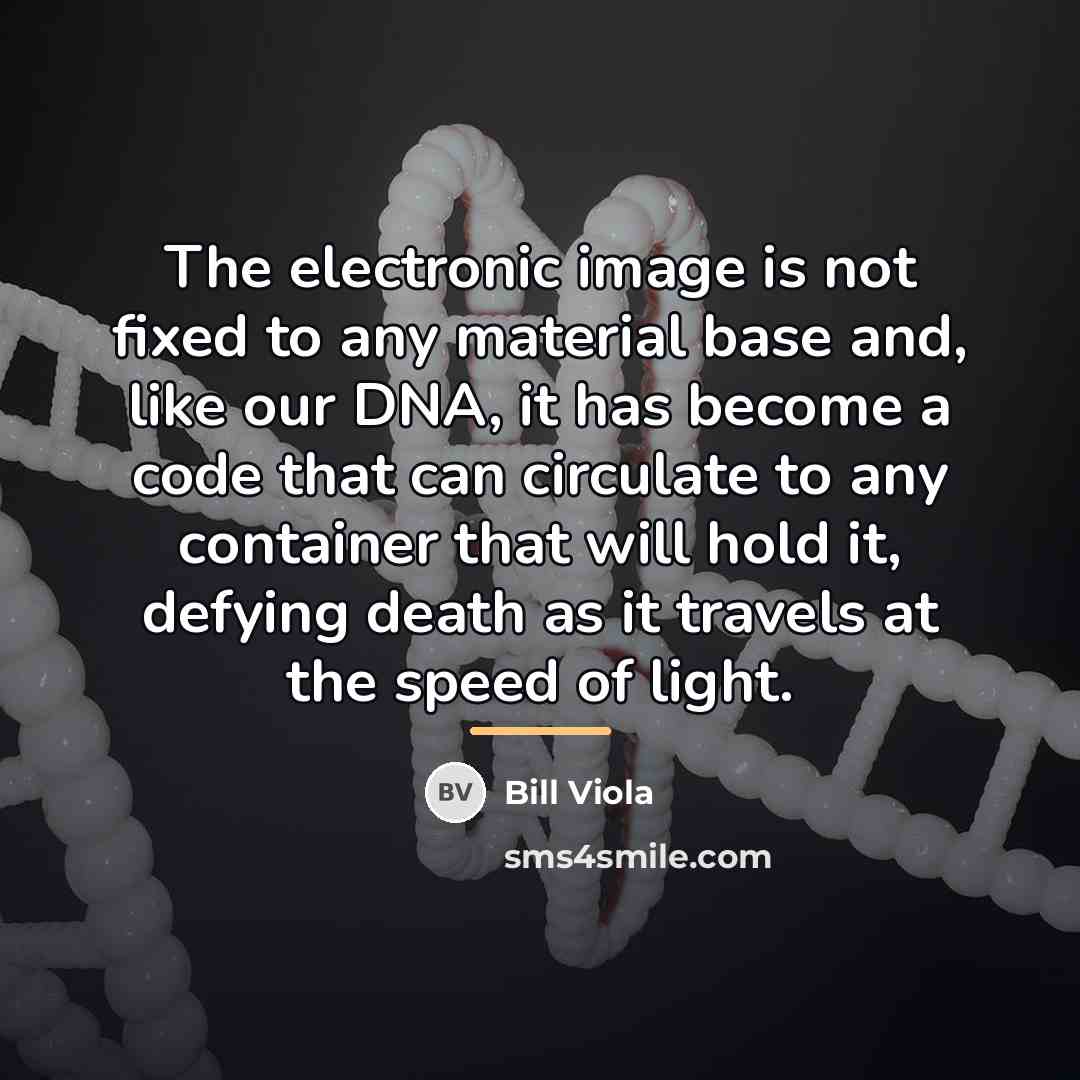 “The electronic image is not fixed to any material base…” quote by Bill Viola