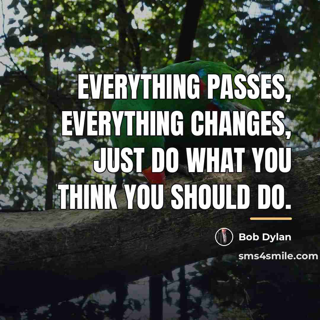 “Everything passes, Everything changes, Just do what you think you…” quote by Bob Dylan