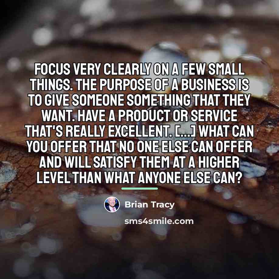 “Focus very clearly on a few small things. The purpose…” quote by Brian Tracy