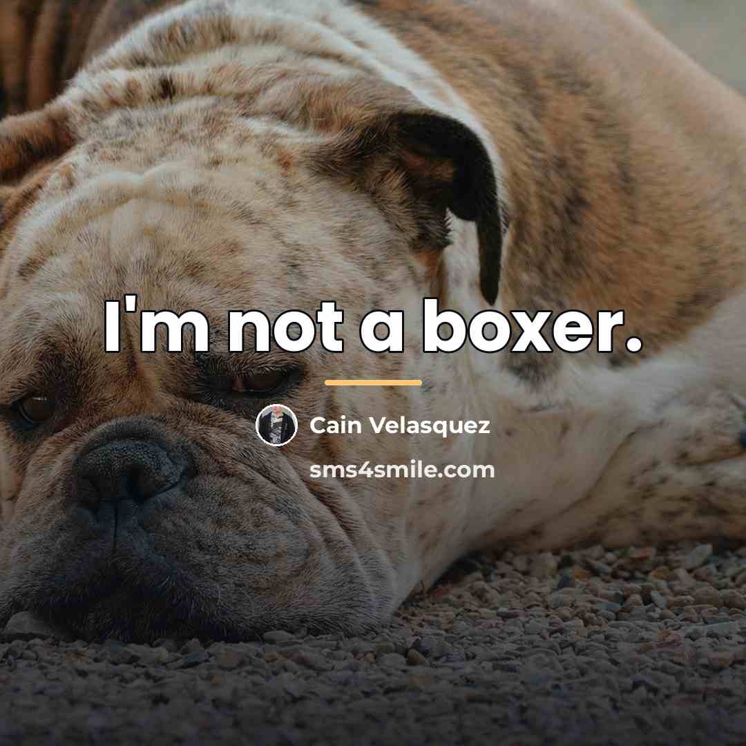 “I'm not a boxer.…” quote by Cain Velasquez