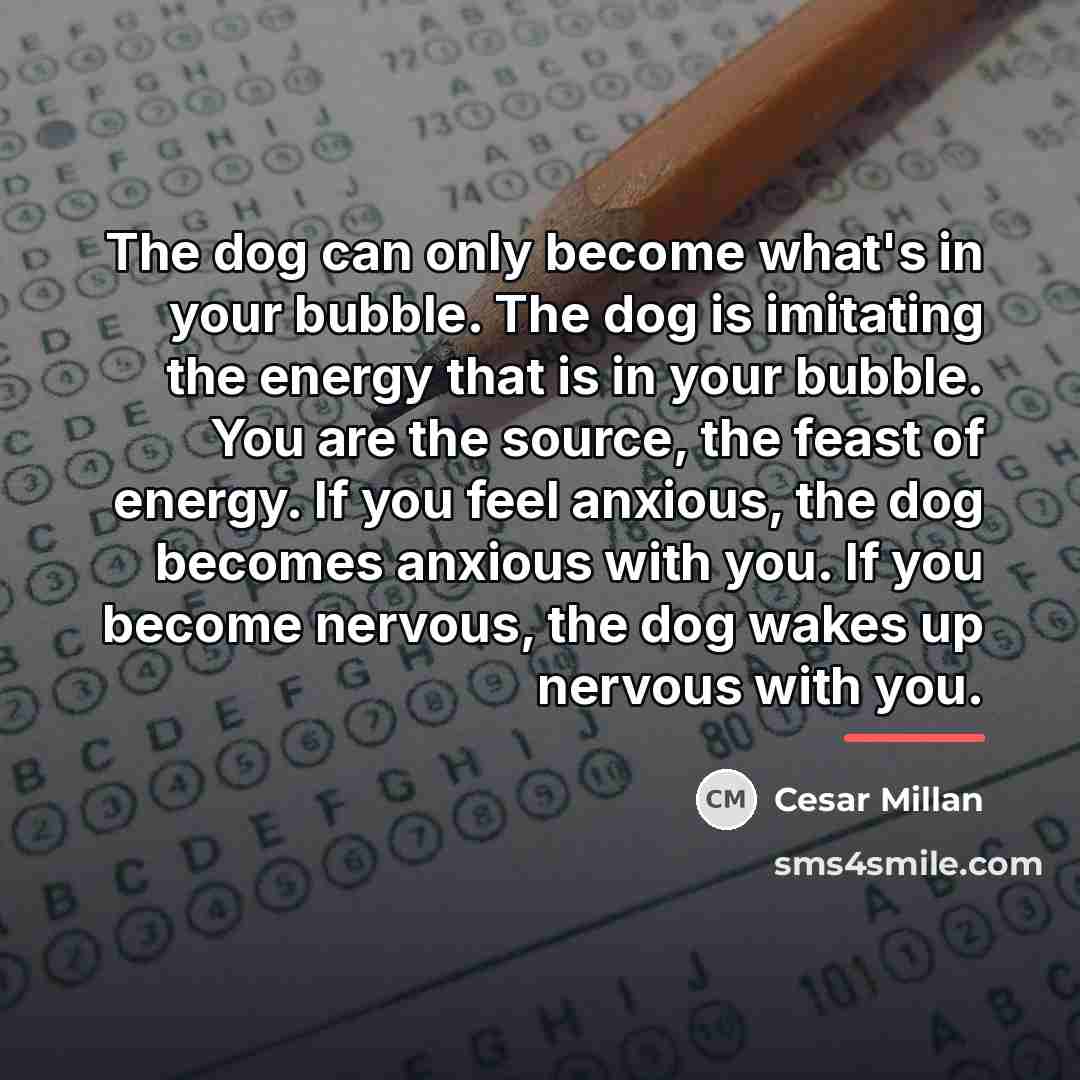“The dog can only become what's in your bubble. The…” quote by Cesar Millan