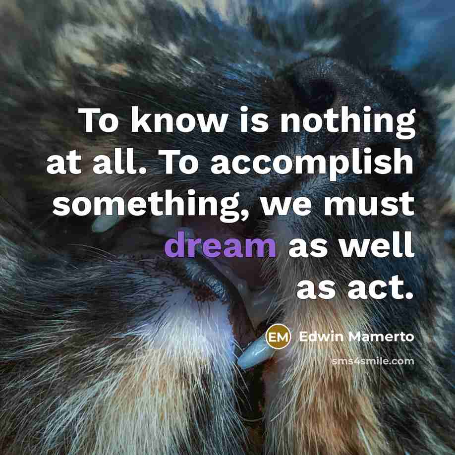 “To know is nothing at all. To accomplish something, we…” quote by Edwin Mamerto