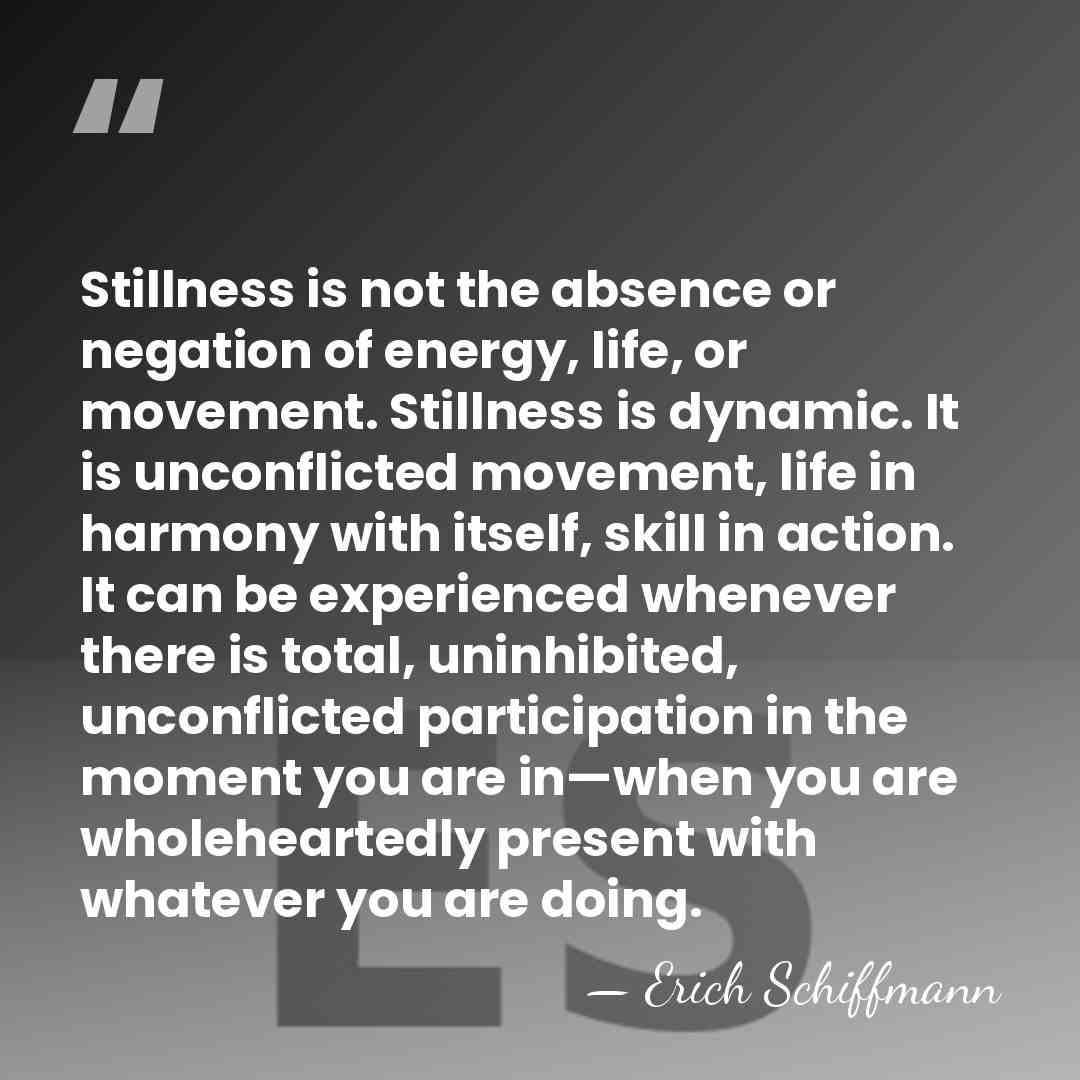 Stillness is not the absence or negation of energy, life, or movement.&hellip; - Erich Schiffmann