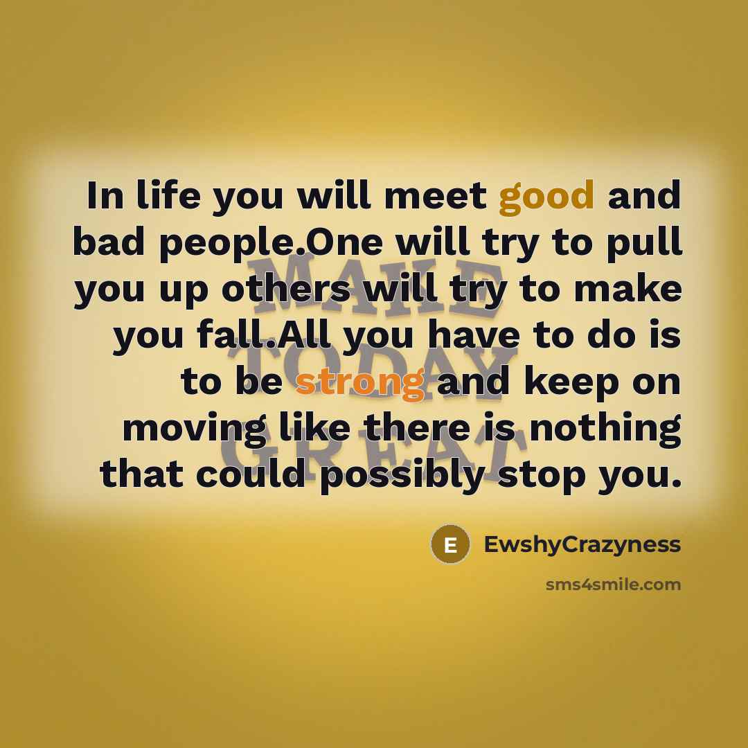 “In life you will meet good and bad people.One will…” quote by EwshyCrazyness