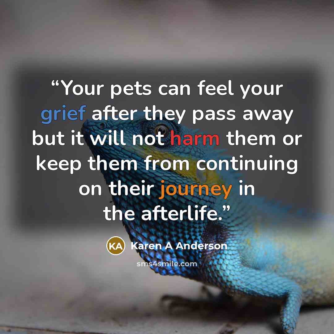 “Your pets can feel your grief after they pass away but it will not harm them or keep them from continuing on their journey in the afterlife.” quote by Karen A Anderson