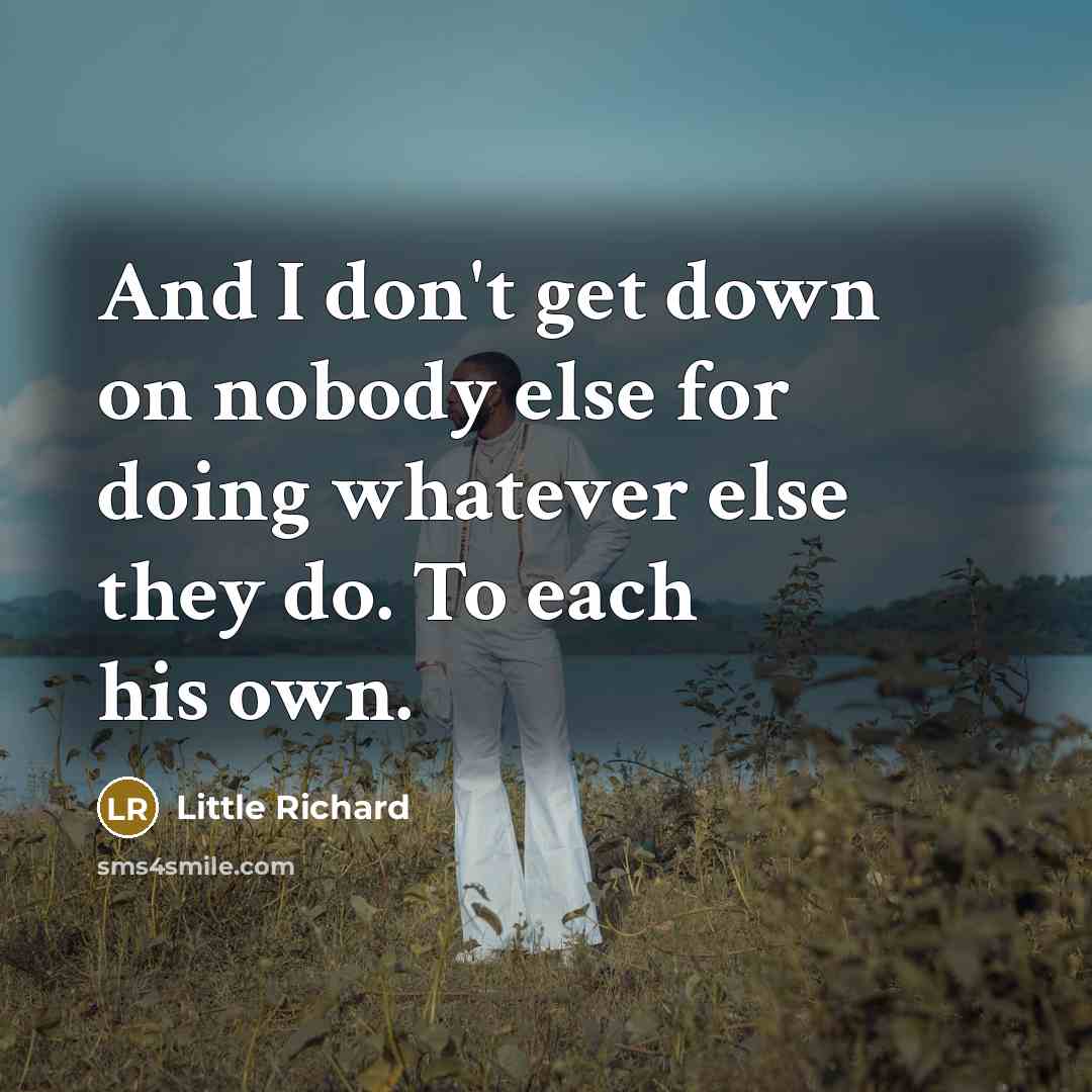 “And I don't get down on nobody else for doing…” quote by Little Richard