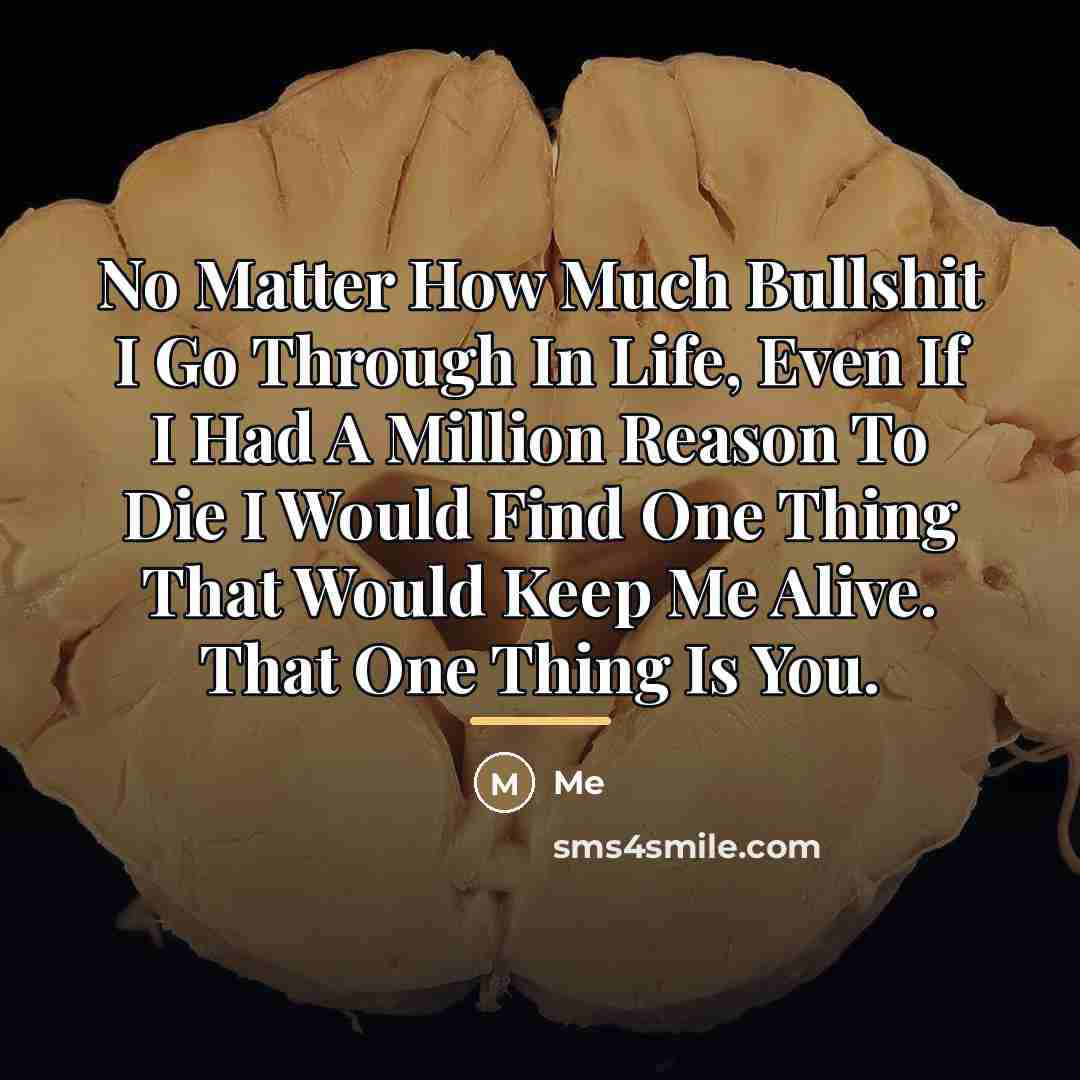 “No Matter How Much Bullshit I Go Through In Life,…” quote by Me