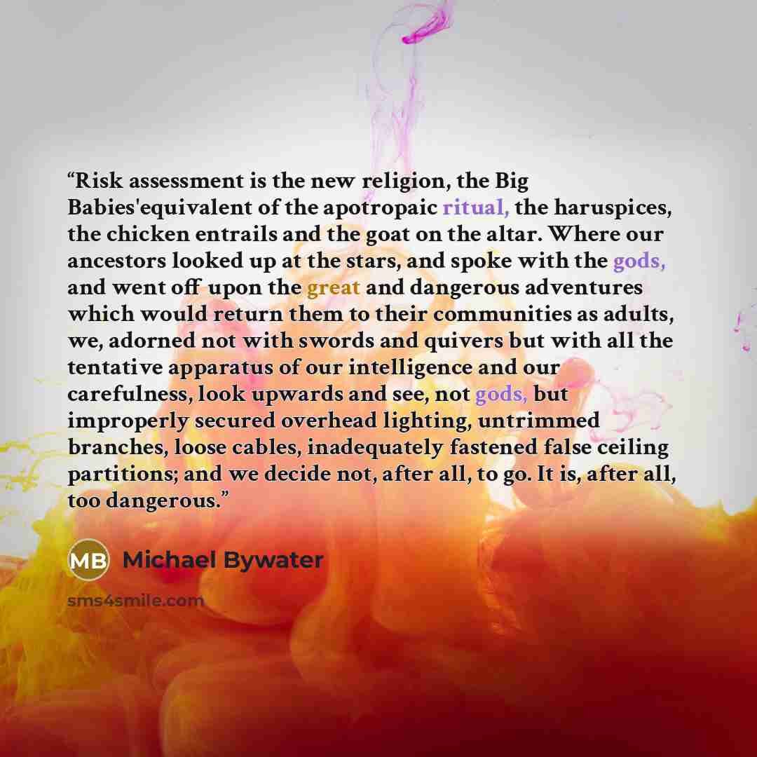 “Risk assessment is the new religion, the Big Babies'equivalent of the apotropaic ritual, the haruspices, the chicken entrails and the goat on the altar. Where our ancestors looked up at the stars, and spoke with the gods, and went off upon the great and dangerous adventures which would return them…” quote by Michael Bywater