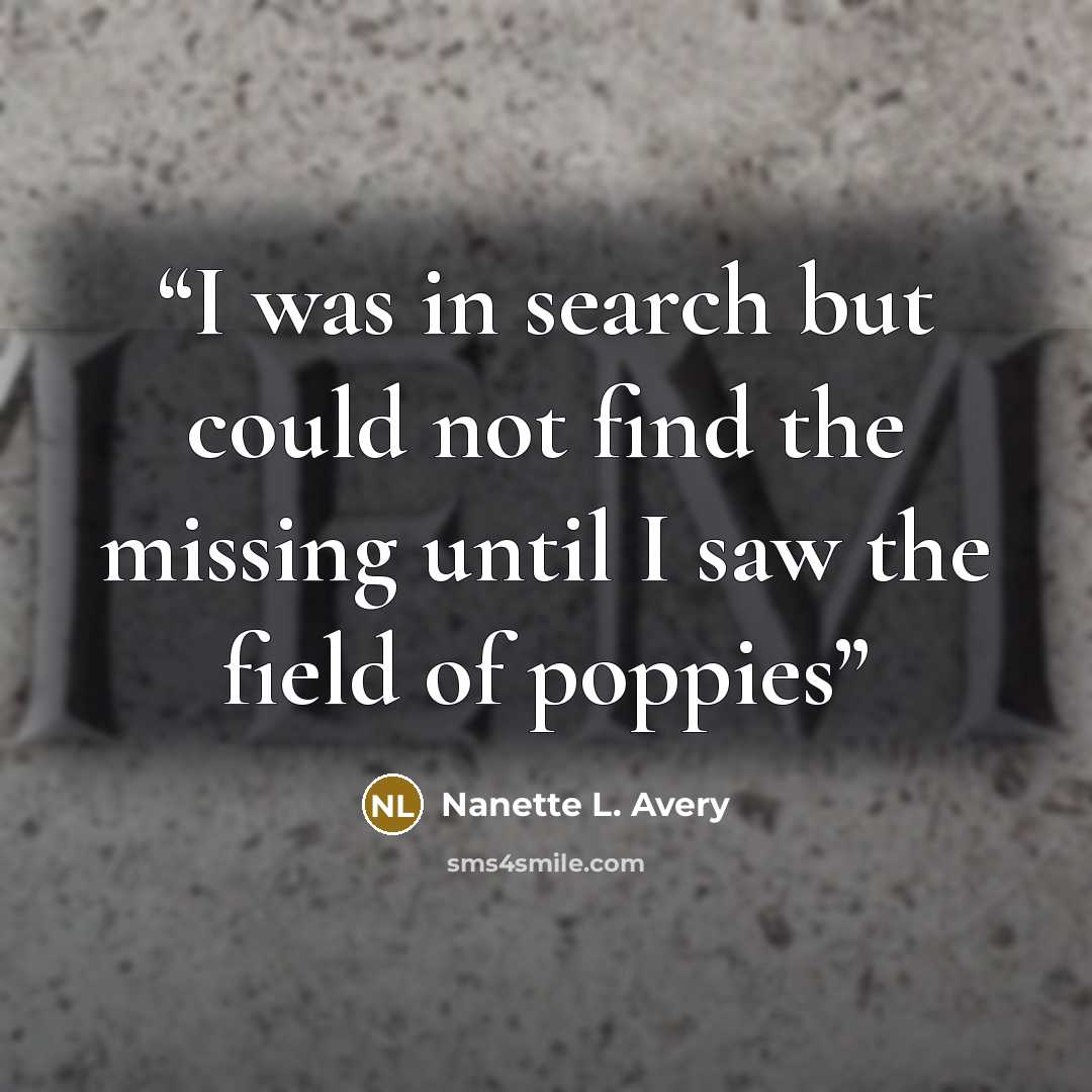 “I was in search but could not find the missing until I saw the field of poppies” quote by Nanette L. Avery