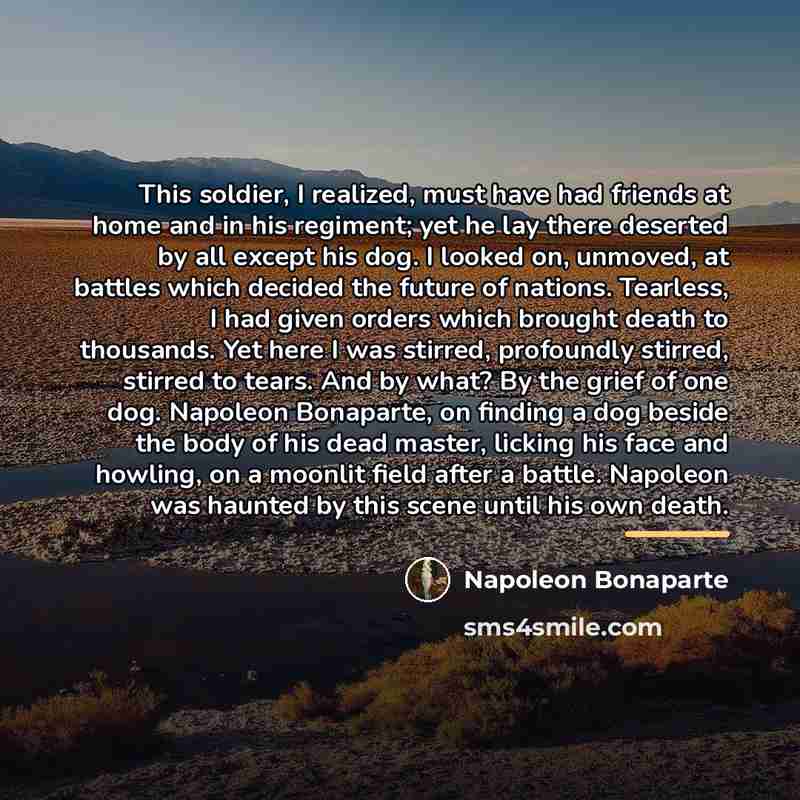 “This soldier, I realized, must have had friends at home…” quote by Napoleon Bonaparte