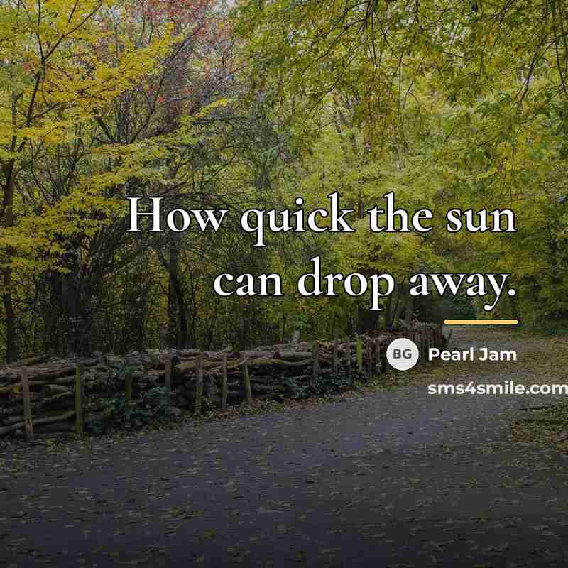 “How quick the sun can drop away.…” quote by Pearl Jam