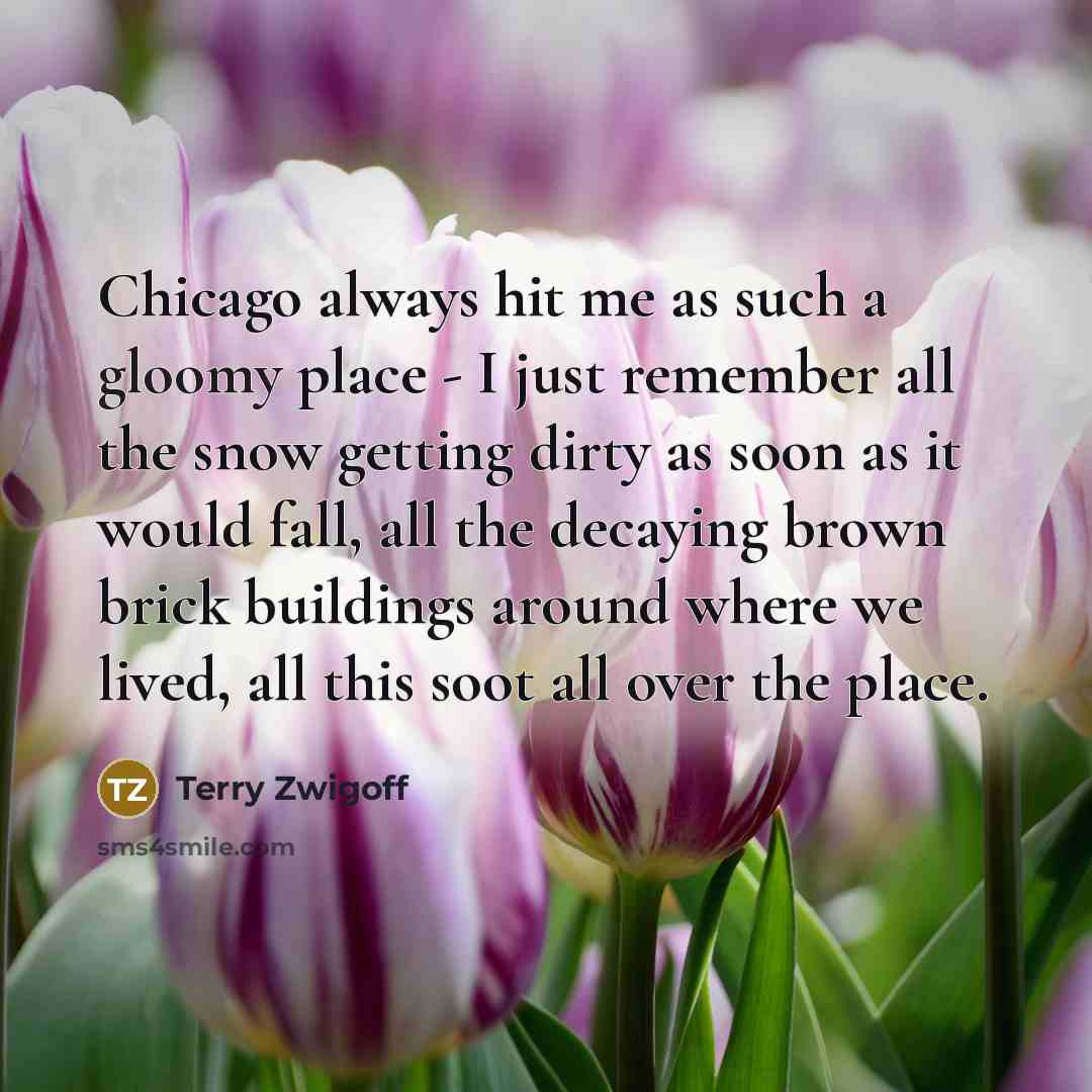 “Chicago always hit me as such a gloomy place -…” quote by Terry Zwigoff