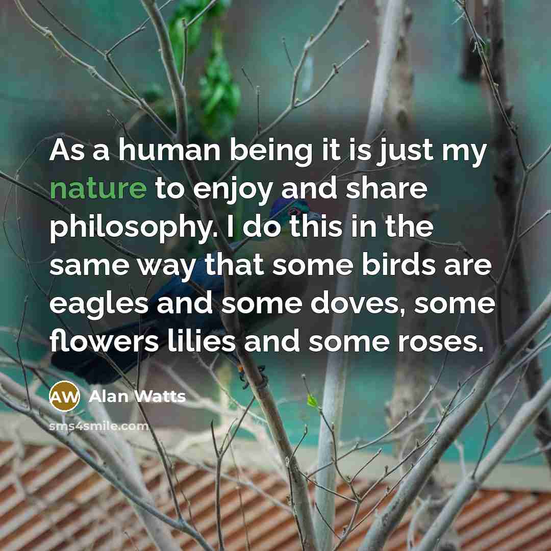 “As a human being it is just my nature to…” quote by Alan Watts