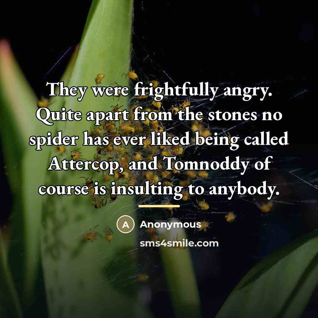 “They were frightfully angry. Quite apart from the stones no…” quote by Anonymous