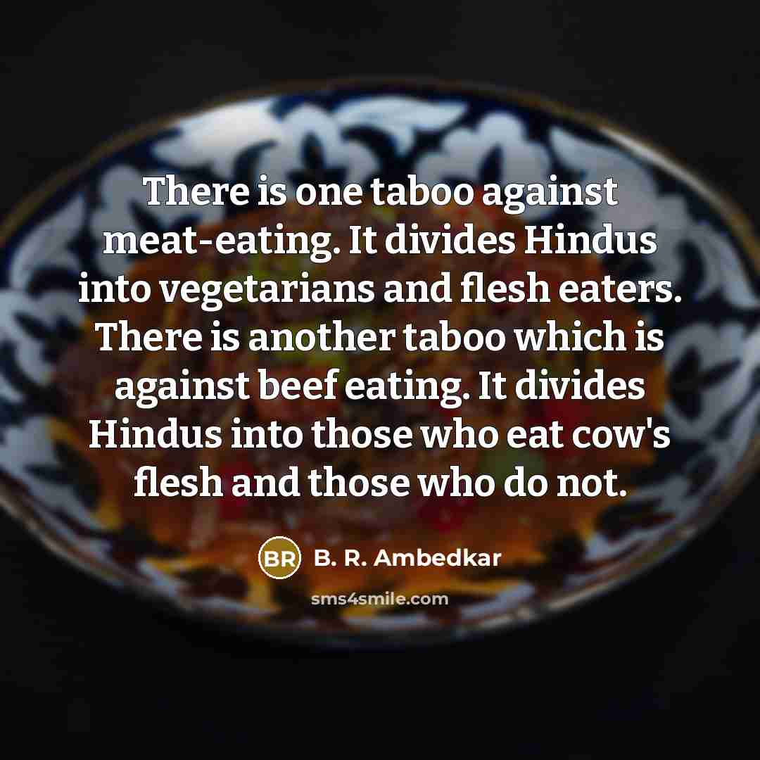 “There is one taboo against meat-eating. It divides Hindus into…” quote by B. R. Ambedkar