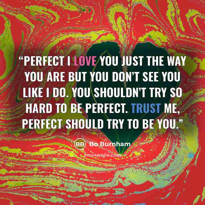 “Perfect I love you just the way you are but you don’t see you like I do. You shouldn’t try so hard to be perfect. Trust me, perfect should try to be you.” quote by Bo Burnham