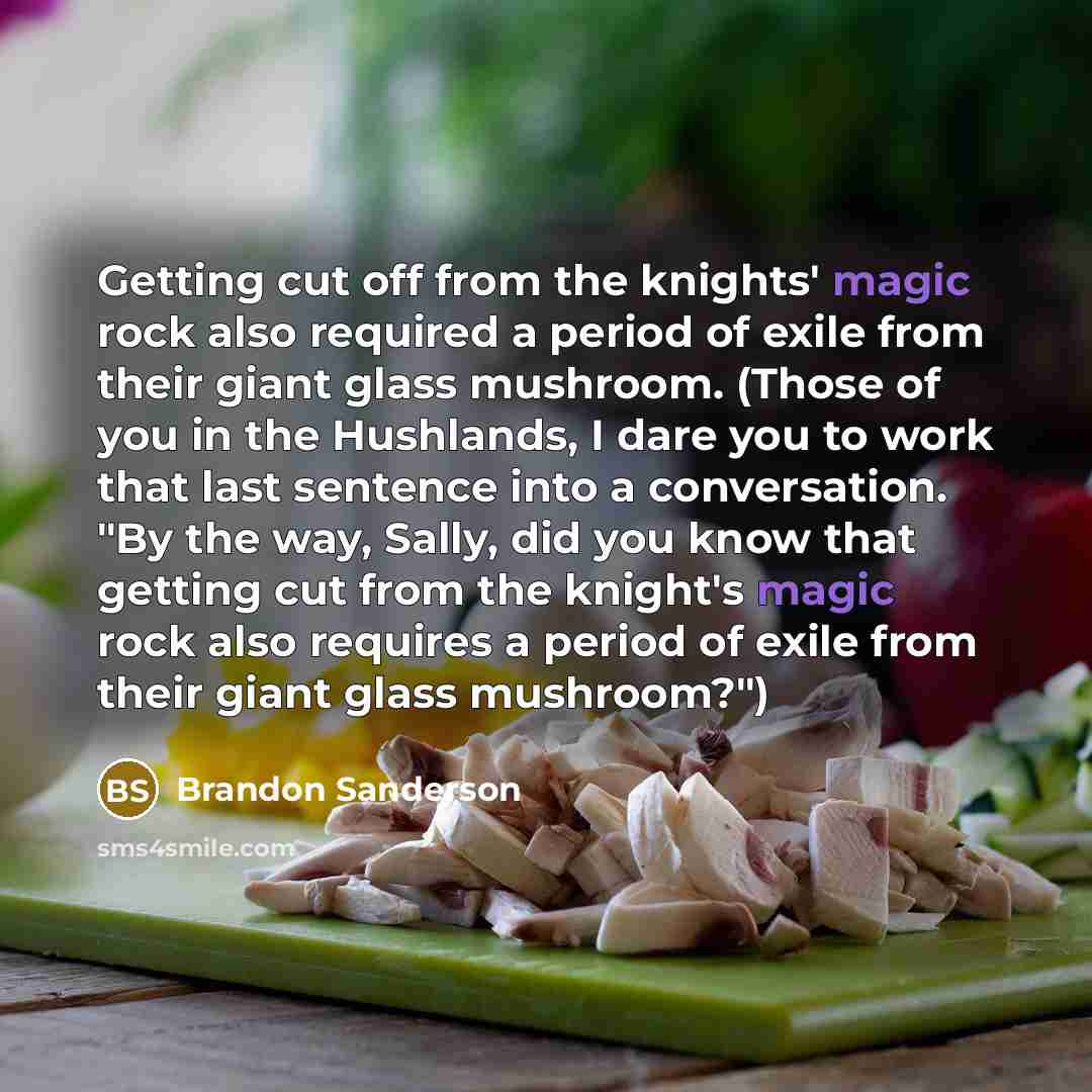 “Getting cut off from the knights' magic rock also required…” quote by Brandon Sanderson