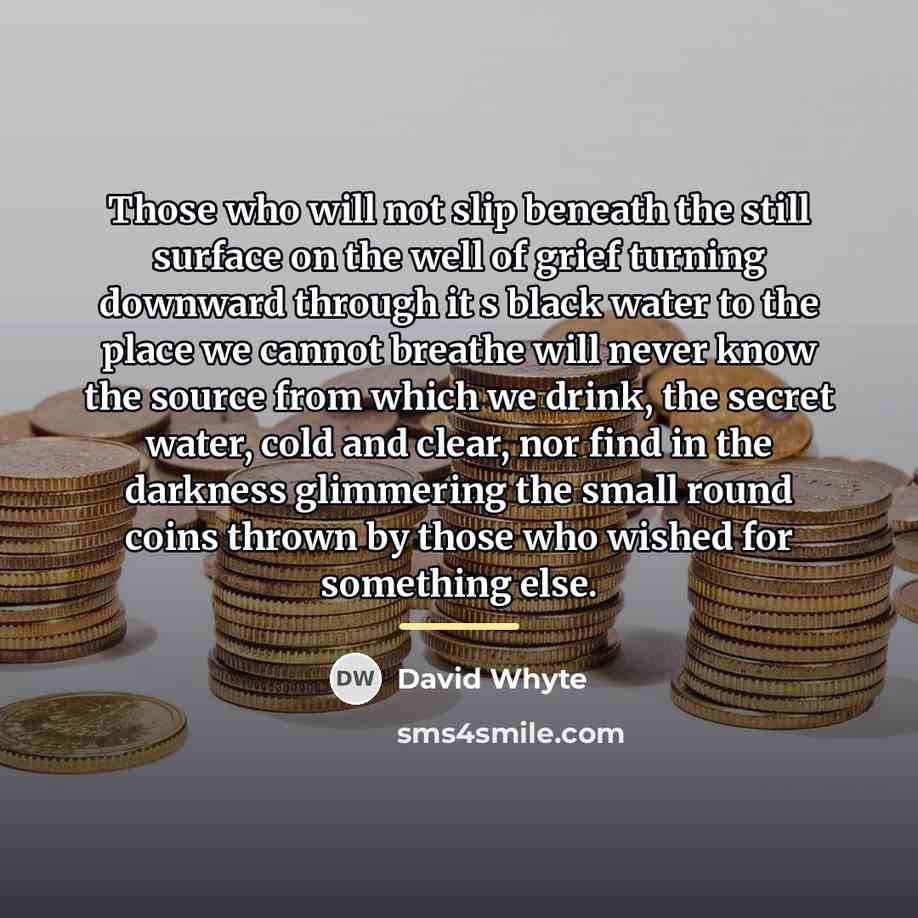“Those who will not slip beneath the still surface on…” quote by David Whyte