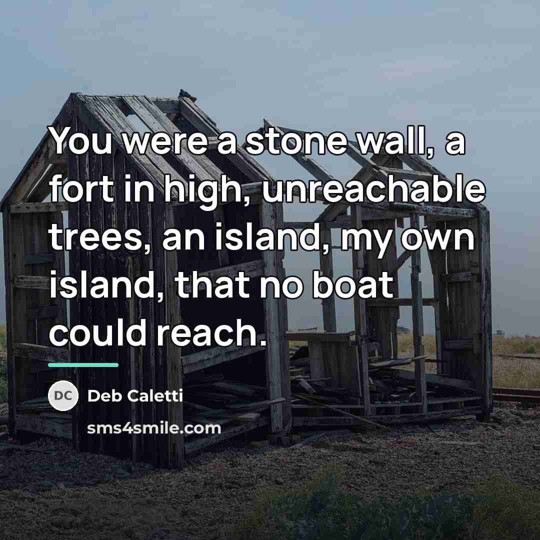 “You were a stone wall, a fort in high, unreachable…” quote by Deb Caletti