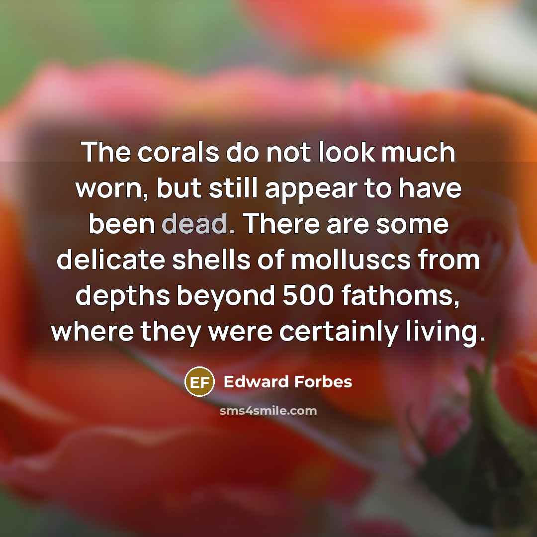 “The corals do not look much worn, but still appear…” quote by Edward Forbes