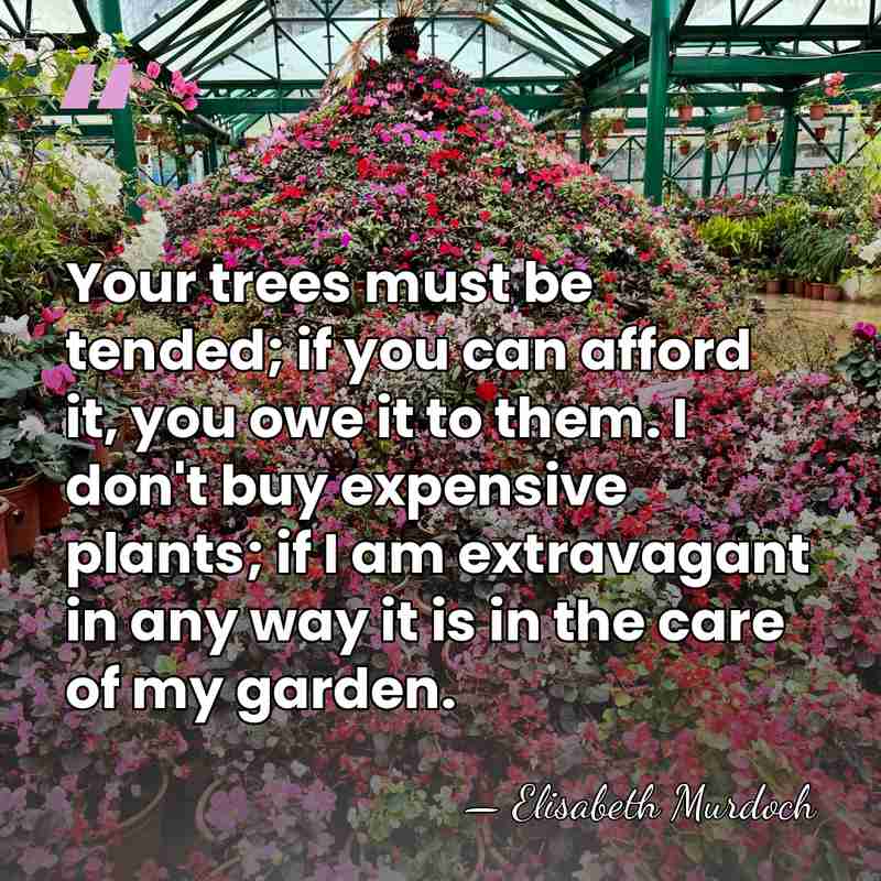 Your trees must be tended; if you can afford it, you owe&hellip; - Elisabeth Murdoch