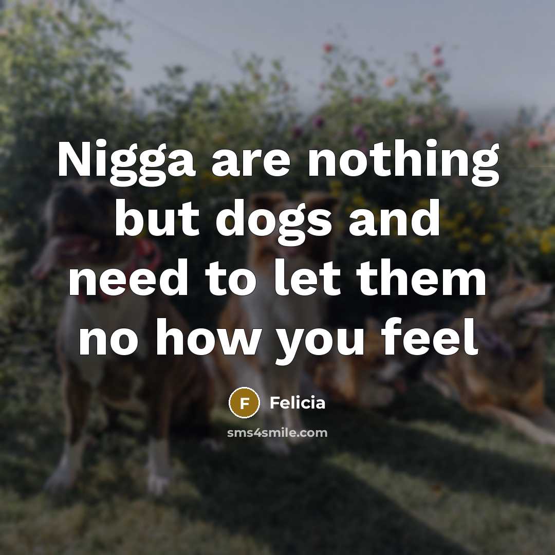 “Nigga are nothing but dogs and need to let them…” quote by Felicia