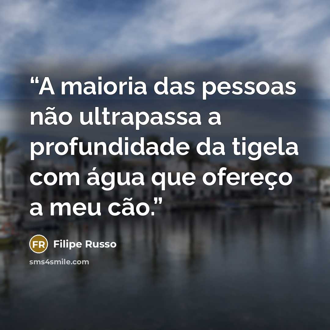 “A maioria das pessoas não ultrapassa a profundidade da tigela com água que ofereço a meu cão.” quote by Filipe Russo