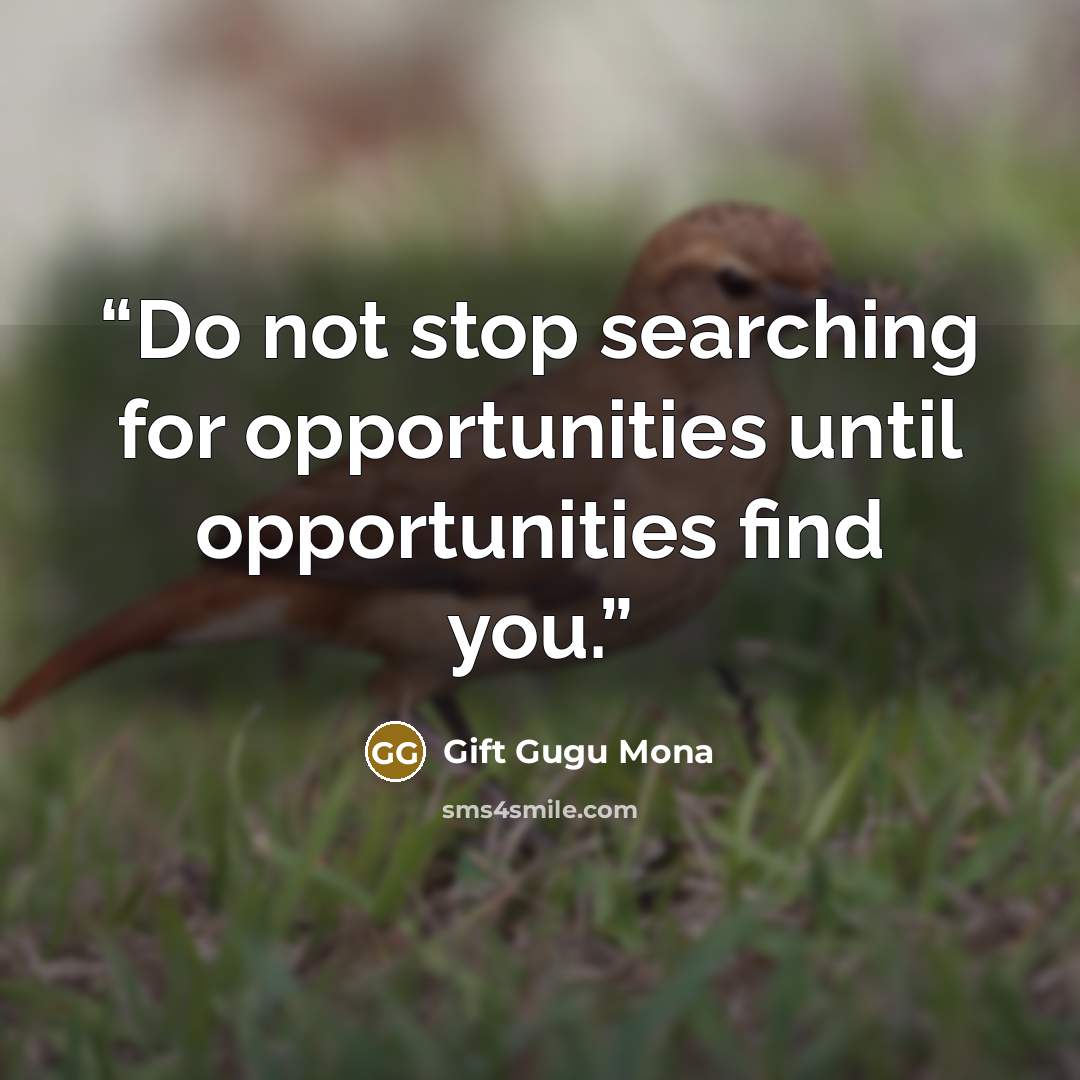 “Do not stop searching for opportunities until opportunities find you.” quote by Gift Gugu Mona