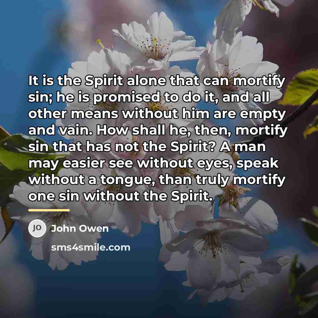 “It is the Spirit alone that can mortify sin; he…” quote by John Owen