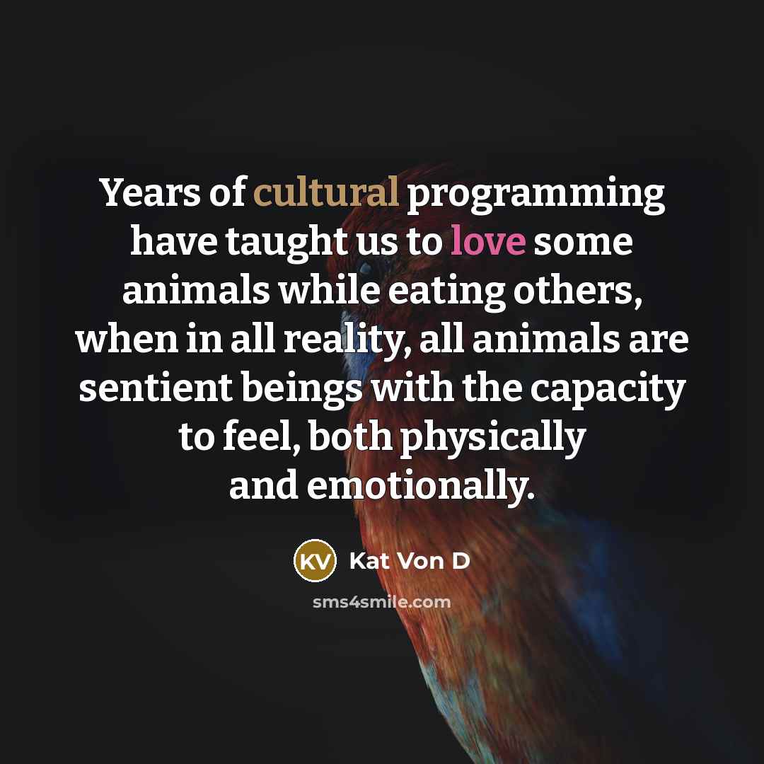 “Years of cultural programming have taught us to love some…” quote by Kat Von D