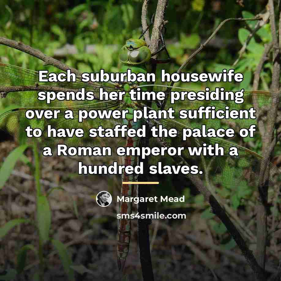 “Each suburban housewife spends her time presiding over a power…” quote by Margaret Mead