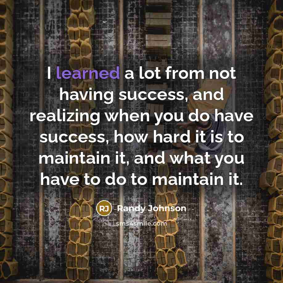 “I learned a lot from not having success, and realizing…” quote by Randy Johnson