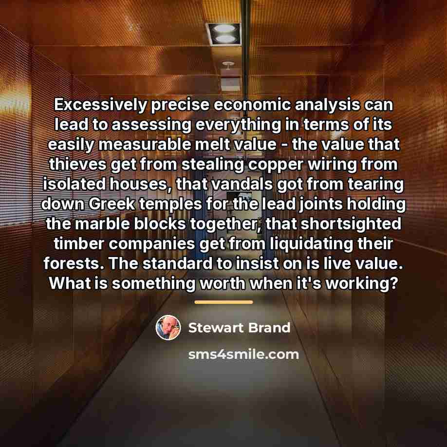 “Excessively precise economic analysis can lead to assessing everything in…” quote by Stewart Brand