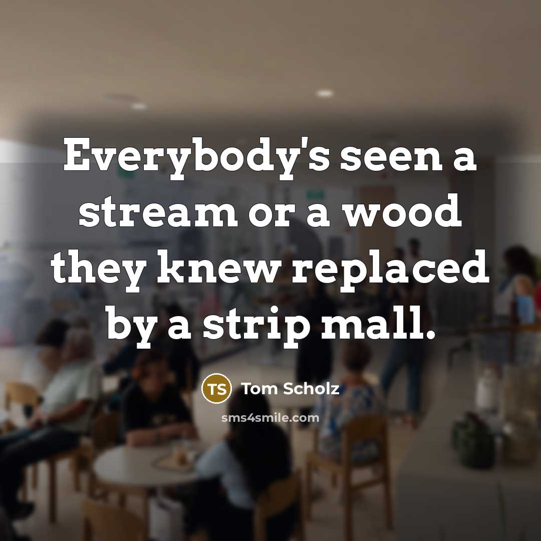 “Everybody's seen a stream or a wood they knew replaced…” quote by Tom Scholz