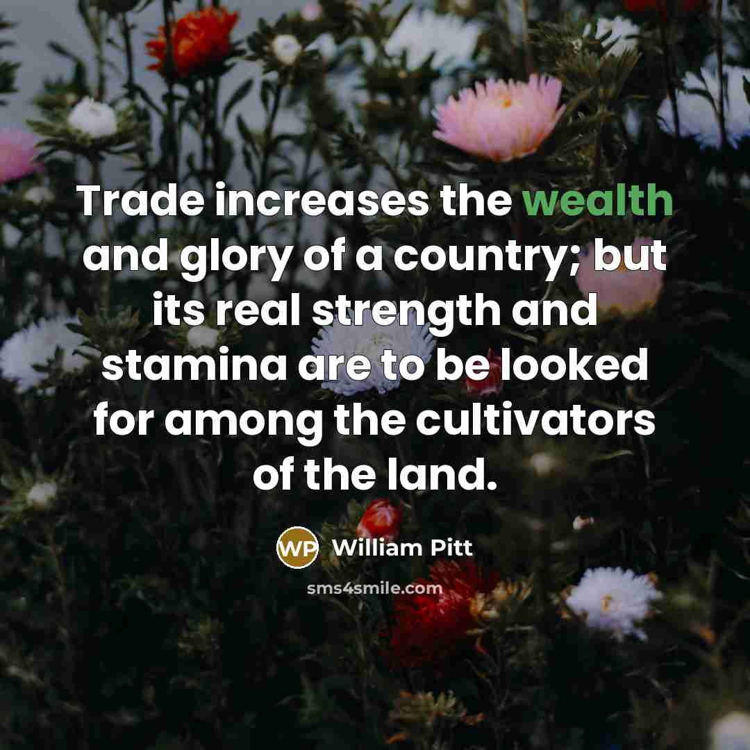 “Trade increases the wealth and glory of a country; but…” quote by William Pitt