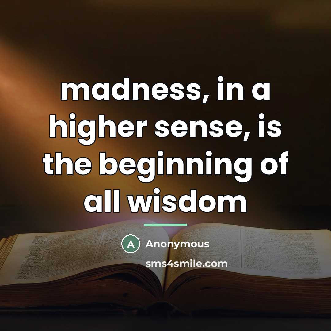 “madness, in a higher sense, is the beginning of all…” quote by Anonymous